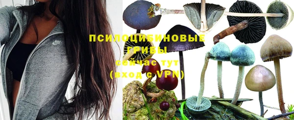 Альфа ПВП Алексин