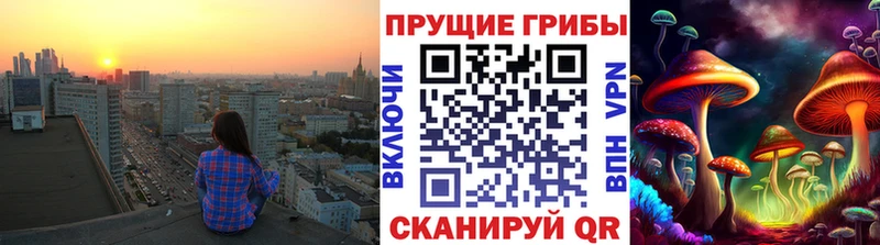 Галлюциногенные грибы MAGIC MUSHROOMS  сколько стоит  Новочеркасск 