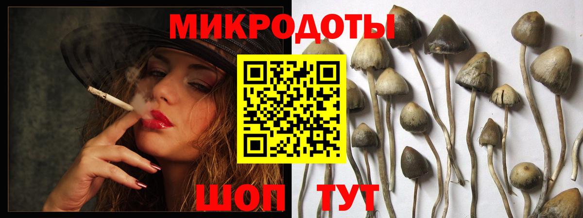 Галлюциногенные грибы ЛСД  Вход с VPN  Новочеркасск 